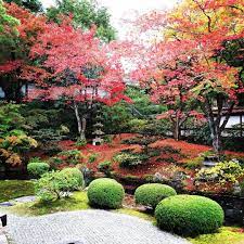 Gozasho Teien It S A Garden Of Sennyu Ji Temple Kyoto Japan Garden Japanesegarden Jardin Jardin Japan Garden Japanese Garden Design Japanese Landscape