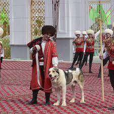 From an early age, central asian shepherd puppies are bolt, curious and brave. Turkmenistan Dedicates Holiday To Enormous National Dog Breed Turkmenistan The Guardian