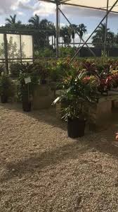 Maybe you would like to learn more about one of these? Southern Gardens Nursery Home Facebook