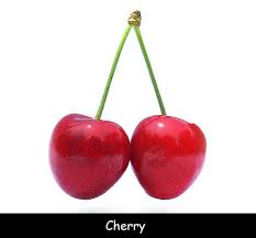 The logic of the terminology is that if the source (the tree) of the evidence or evidence itself is tainted, then anything gained (the fruit) from it is tainted as well. Cherry Facts For Kids