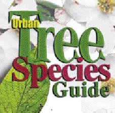 A quick check with your local cooperative extension service will yield a selection of suitable ground covers for your this tough perennial, twining vine adapts well to many settings, spreading over fields and climbing high into tall trees. Scfc Tree Species Guide