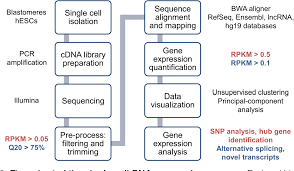 Figure 2 From A Critical Review Of Single Cell Rna