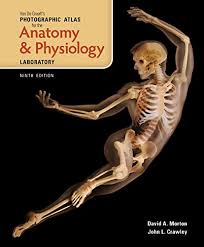 What makes this book unique is that readers can see the muscles at work during each exercise, like an x ray of the body in motion. 100 Best Human Body Books Of All Time Bookauthority