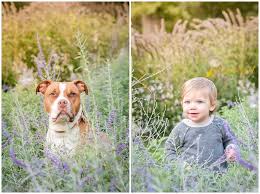 Maybe you would like to learn more about one of these? Family Session At Phipps Conservatory Schenley Park Pittsburgh Pet Photographer Bark Gold Photography Pittsburgh Pet And Dog Photographer