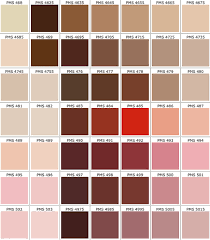 Pantone Brown Colour Chart 2019