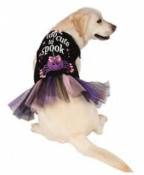 Details About Rubies Pet Shop Too Cute To Spook Dress With Tutu For Pets