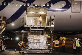 Su aprobación significaría que ya se puede usar masivamente sin necesidad de más experimentos. Over 200 000 Pfizer Covid 19 Vaccines Arrive In Peru News Andina Peru News Agency