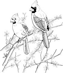State of massachusetts activities : Https Www Flandersfamily Info Web Wp Content Uploads 2016 01 Print State Bird Coloring Pages Pdf