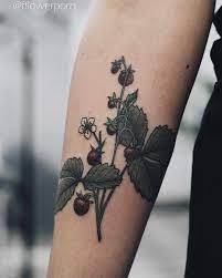 When amalgamated with flower, rose or butterfly, these vines tattoo designs look very elegant. Strawberry Plant Tattoo Tattoogrid Net