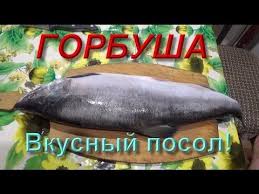 как засолить горбушу в домашних условиях рецепт с фото Kak Vkusno Zasolit Gorbushu I Druguyu Krasnuyu Rybu Youtube Krasnaya Ryba Rybnye Recepty Ryba