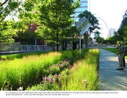 Modern Rain Garden Citygarden St Louis Nelson Byrd Woltz Rain Garden City Garden Dream Garden