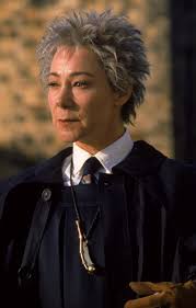 rolanda hooch harrypotter professores harry potter cosplay de harry potter imagens harry potter