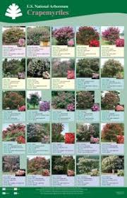 Pin On Pleasing Plants