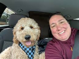 Do bark collars work for golden doodles?