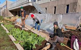 Common Roots is Hiring for 3 Positions