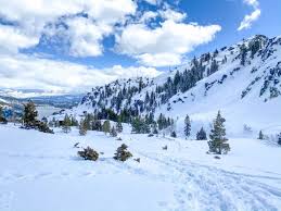 Expect crowds to multiply and. Winter Hiking In Lake Tahoe With Your Dog Dont Stop Retrieving