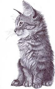 Autors Stalla15 Starring Role Disegni Di Gatti Disegni A Carboncino Schizzi Di Animali