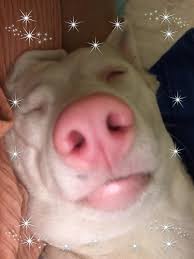 My baby girl missed me while I was at the doctor