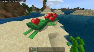 In today's video i will show you how to make turtle eggs and how to hatch turtle eggs in minecraft really fast as well as show you a very big glitch with the. Minecraft Turtle Spawn Breeding Uses And More Firstsportz