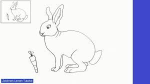 Hase Zeichnen Lernen Einfach Schritt Fur Schritt Fur Anfanger 4 Zeichnen Lernen Tutorial Youtube