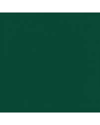 Image result for Amazon Green 2000 F250