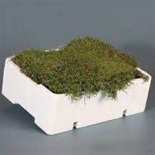 Fresh Flat Moss Wholesale Flowers Florist Supplies Uk Garden Care Garden Cafe Flower Pot Garden