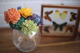 Oct 16, 2017 · i have a 55 gal freshwater tank with a variety of fish (cats, angel, silver dollar, red shark, loach, tetras) and a large blue crayfish (7″ with claws out). Why Eco Flower Might Be The Greatest Shark Tank Disaster Of All Time The Bite Me Chronicles