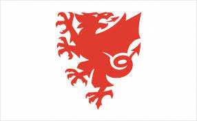 The cost includes postage and packing for uk addresses only. Welsh Football Gets New Logo And Identity Logo Designer Logo Designer