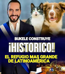 Amor a Los Perritos Espera no te vayas, vayas,casi casi nadie se queda a  verme ,Me ayudas dejando tu corazón para comprar mis croquetitas