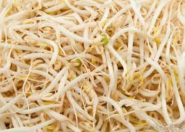 How to store your groceries ? What Are Bean Sprouts With Pictures