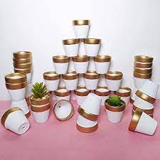 We did not find results for: Buy 40 Pcs 2 5 Mini Clay Pots Small Terracotta Pots Pottery Planters Cactus Flower Pot Succulent Nursery Pots Great For Plants Crafts Wedding Favors Baby Shower Matte White Bisque Set Of