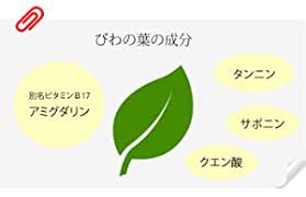 Amazon Co Jp 国産 100 びわ茶 びわの葉茶 100g 6袋セット 無農薬 ノンカフェイン 食品 飲料 お酒
