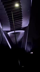 Tower Of Silence Mumbai History Videos