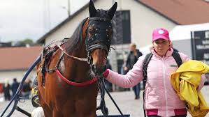 Elitloppet är årets största travhändelse. Bahia Quesnot Klar For Elitloppet 2021 Senaste Nyheterna Om Trav Travronden