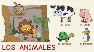 Descarga y usa 50.000+ fotos de archivo de animales gratis. Aprender Espanol Los Animales Nivel Intermedio Youtube