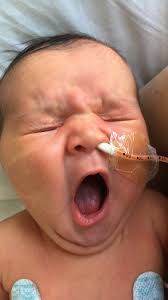 Fundraiser for Jason Brown by Michelle Rene Brown : Saving Everly