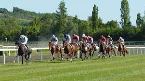 Arrivées et rapports de la course hippique prix federation des courses de l'ouest (trot attelé) du 26/12/2020, r3 c1. La Federation Ouest