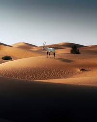 Mon copain semble s'être assoupi, probablement la fatigue du voyage. Pk Douglas Auteur Sur Paulette Magazine