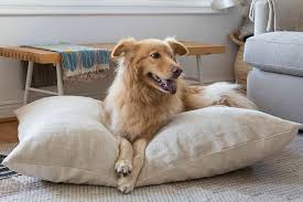 Ideal for pets to curl up or sprawl, it is proven to ease anxiety, our calming pet beds can help relax and ground your dog pro tip: The Best Looking Dog Beds For Your Furry Best Friend Architectural Digest