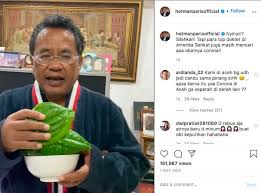 Resep lontong sederhana (pakai cetakan). Hotman Paris Kunyah Daun Sirih Untuk Cegah Corona Netizen Soroti Manfaatnya