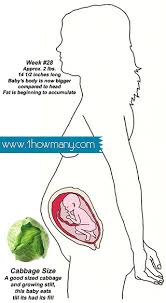 A month is 1/12 th of a year. How Many Weeks Pregnant Am I