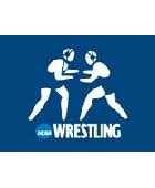 2009 NCAA Division ll Wrestling Championships