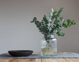 4 Common Indoor Plants that are Poisonous to Pups | Scoop Soldiers