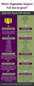 How many hours of sun does a vegetable garden need. Some Vegetable Crops Don T Require As Much Sunlight To Survive Here S A Comparison C Garden Layout Vegetable Veggie Garden Layout Vegetable Garden Layout Plan
