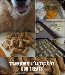 Check spelling or type a new query. Homemade Thanksgiving Dog Treats Sugar The Golden Retriever Thanksgiving Dog Treats Dog Treat Recipes Dog Thanksgiving