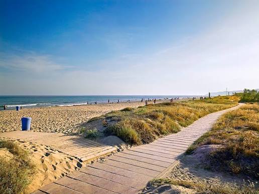 Playas de Gavà y el Extremo de Castelldefels: Dunas, Pinos y Tranquilidad Natural