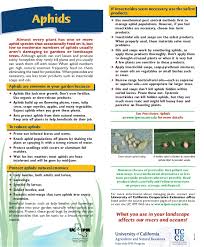 Which is most true of a chemical that kills all the plants and not just one specific kind. Aphids Quick Tips Natural Pest Control