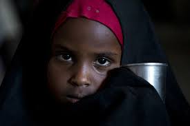 Conflict and hunger — Looking back, looking forward