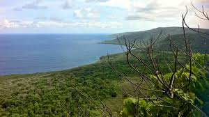 However, the original sonic the hedgehog took place on south island, and … Why There S More Than One Place Called Christmas Island Conde Nast Traveler