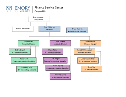 what is the purpose of an organizational chart in health